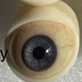 #8 Grey 灰色